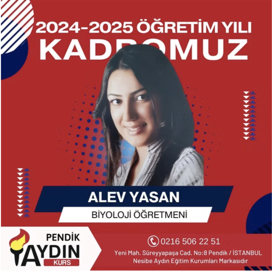 Ekran Resmi 2025-07-18 01.37.45